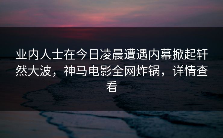 业内人士在今日凌晨遭遇内幕掀起轩然大波，神马电影全网炸锅，详情查看
