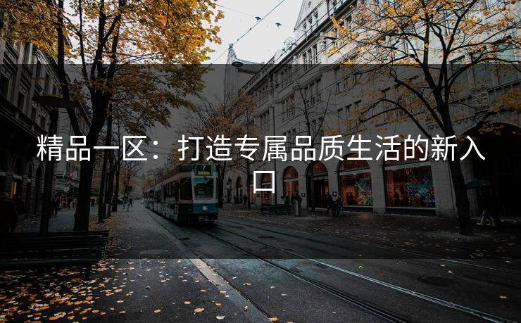 精品一区:打造专属品质生活的新入口