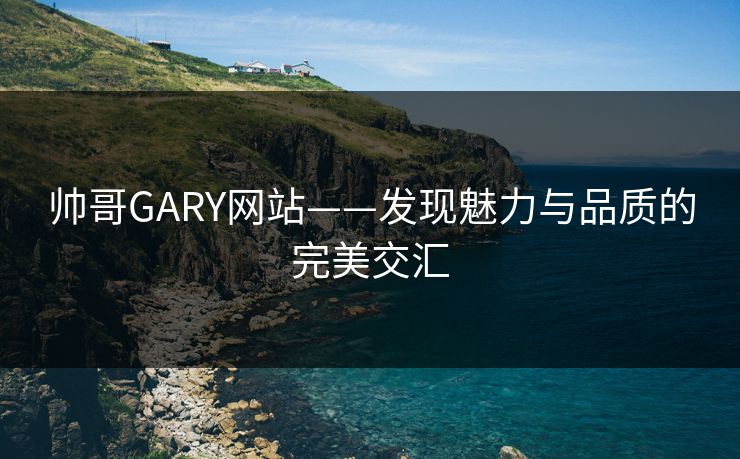 帅哥GARY网站——发现魅力与品质的完美交汇 帅哥GARY网站——发现魅力与品质的完美交汇