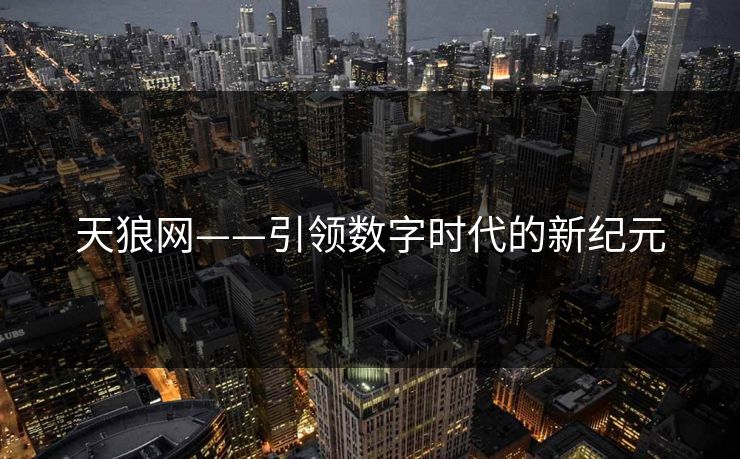 天狼网——引领数字时代的新纪元 天狼网——引领数字时代的新纪元