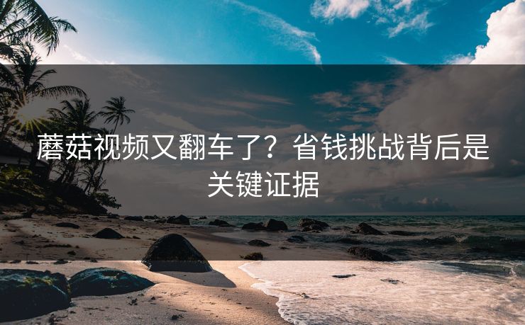 蘑菇视频又翻车了？省钱挑战背后是关键证据